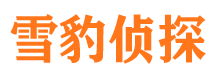 裕民市婚姻调查